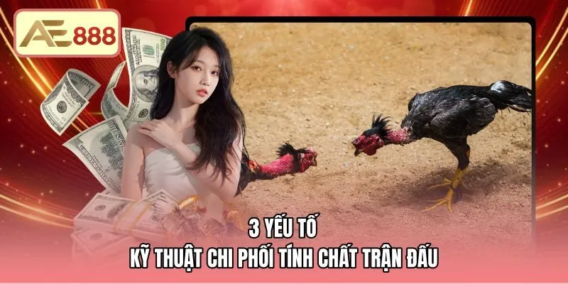 Thông số kỹ thuật chi phối nhịp độ trận đấu chiến kê
