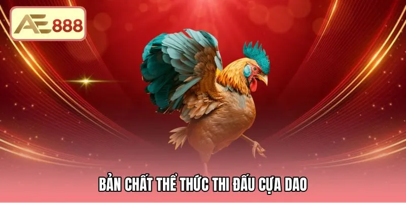 ban-chat-the-thuc-thi-dau-cua-dao Lưỡi dao mỏng dẹt cùng nhịp độ giao tranh chớp nhoáng