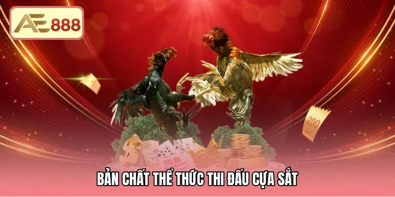 ban-chat-the-thuc-thi-dau-cua-sat Tốc độ giao tranh cùng cấu tạo gaff thép hình trụ tròn