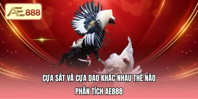 Cựa Sắt Và Cựa Dao Khác Nhau Thế Nào - Phân Tích AE888