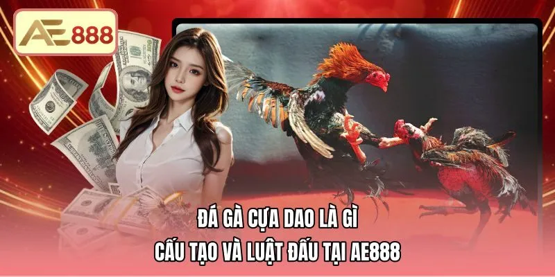 Đá Gà Cựa Dao Là Gì - Cấu Tạo Và Luật Đấu Tại AE888