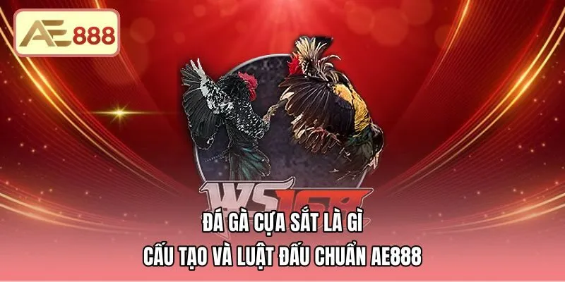 Đá Gà Cựa Sắt Là Gì - Cấu Tạo Và Luật Đấu Chuẩn AE888