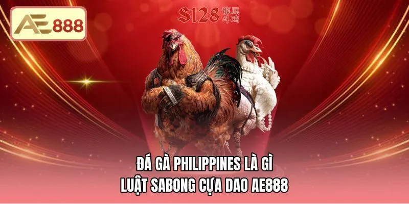 Đá Gà Philippines Là Gì - Luật Sabong Cựa Dao Tại AE888