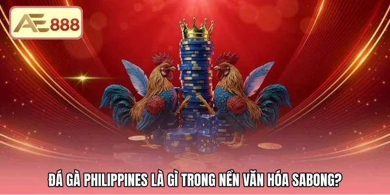 Góc nhìn văn hóa Sabong giải đáp đá gà Philippines là gì