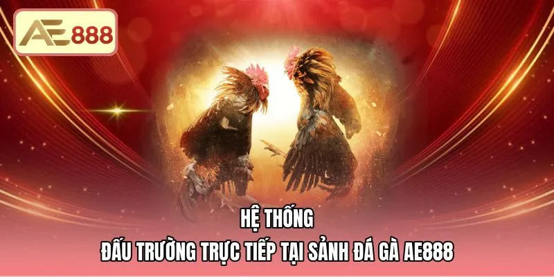 he-thong-dau-truong-truc-tiep-tai-sanh-da-ga-ae888 Trực tiếp đá gà AE888 từ các bồ Thomo chuẩn quốc tế