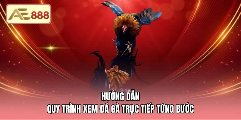 huong-dan-quy-trinh-xem-da-ga-truc-tiep-tung-buoc Trình tự truy cập sảnh cược và theo dõi trực tiếp Thomo