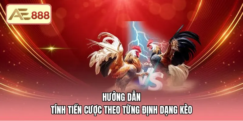 Phương pháp tính tiền cược kèo Decimal cùng kèo âm dương