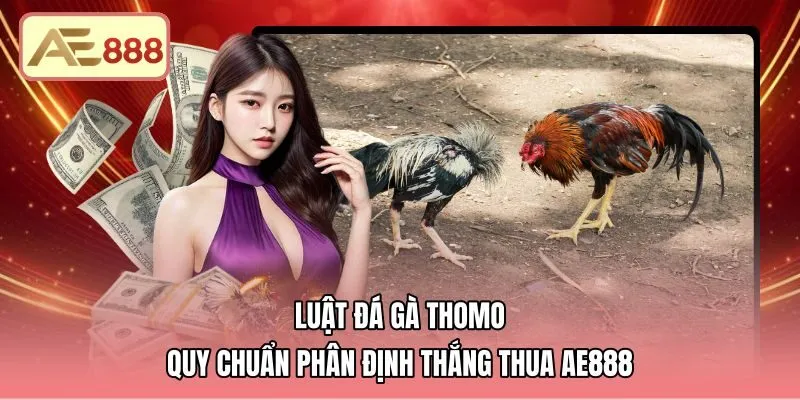 Luật Đá Gà Thomo | Quy Chuẩn Phân Định Thắng Thua AE888