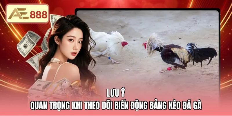 Biến động bảng cược theo cân nặng và thời gian đếm ngược