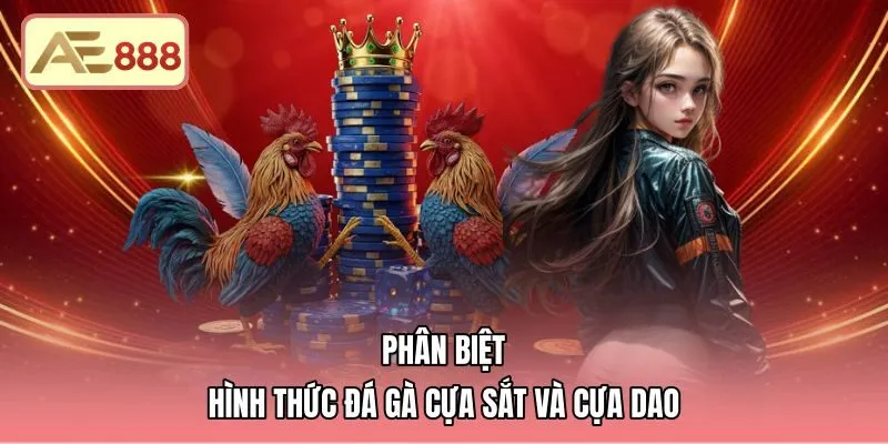 phan-biet-hinh-thuc-da-ga-cua-sat-va-cua-dao Phân biệt cựa dao và cựa sắt tại đấu trường Thomo
