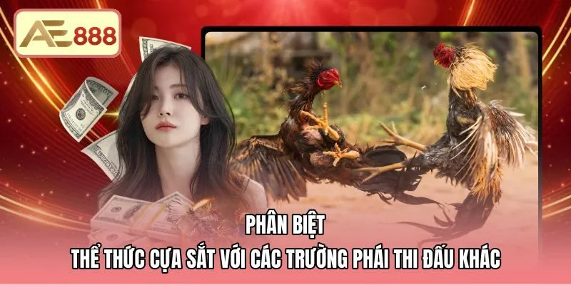 phan-biet-the-thuc-cua-sat-voi-cac-truong-phai-thi-dau-khac Đối chiếu cựa thép nhọn cùng dao chém và lối chọi đòn