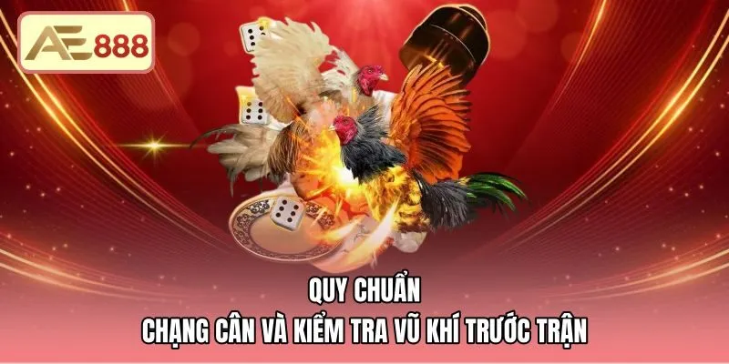 Kiểm tra chạng cân cùng cựa thép theo luật đá gà Thomo