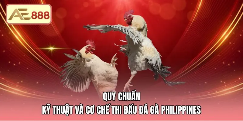 quy-chuan-ky-thuat-va-co-che-thi-dau-da-ga-philippines Bản chất đá gà Philippines là gì qua quy chuẩn cựa dao