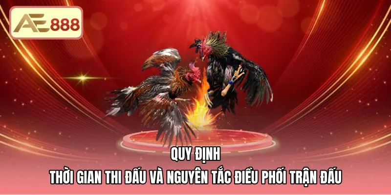 Thời gian thi đấu tiêu chuẩn theo luật đá gà Thomo