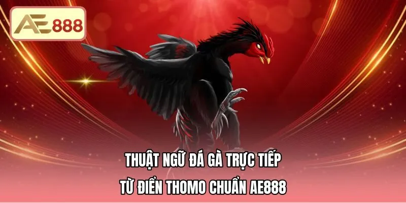 Thuật Ngữ Đá Gà Trực Tiếp - Từ Điển Thomo Chuẩn AE888