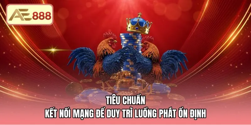 tieu-chuan-ket-noi-mang-de-duy-tri-luong-phat-on-dinh Thông số đường truyền internet cùng cấu hình DNS mượt mà