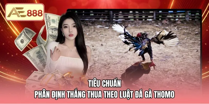 Phán quyết trọng tài chuẩn xác theo luật đá gà Thomo