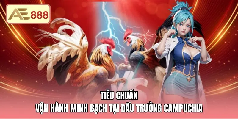 tieu-chuan-van-hanh-minh-bach-tai-dau-truong-campuchia Tiêu chuẩn vận hành minh bạch của trường đấu Thomo Campuchia