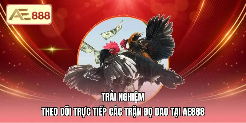 trai-nghiem-theo-doi-truc-tiep-cac-tran-do-dao-tai-ae888 Luồng phát trực tiếp Full HD cùng bảng đối đầu trực quan